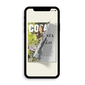 PLAN DIGITAL ANUAL